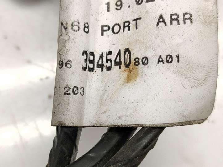 Citroen Xsara Picasso (1999 - 2012)  9639454080 Проводка задних дверей