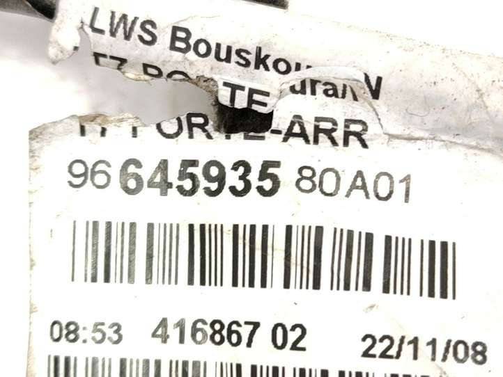 Peugeot 308 (2007 - 2013)  9664593580 Проводка задних дверей
