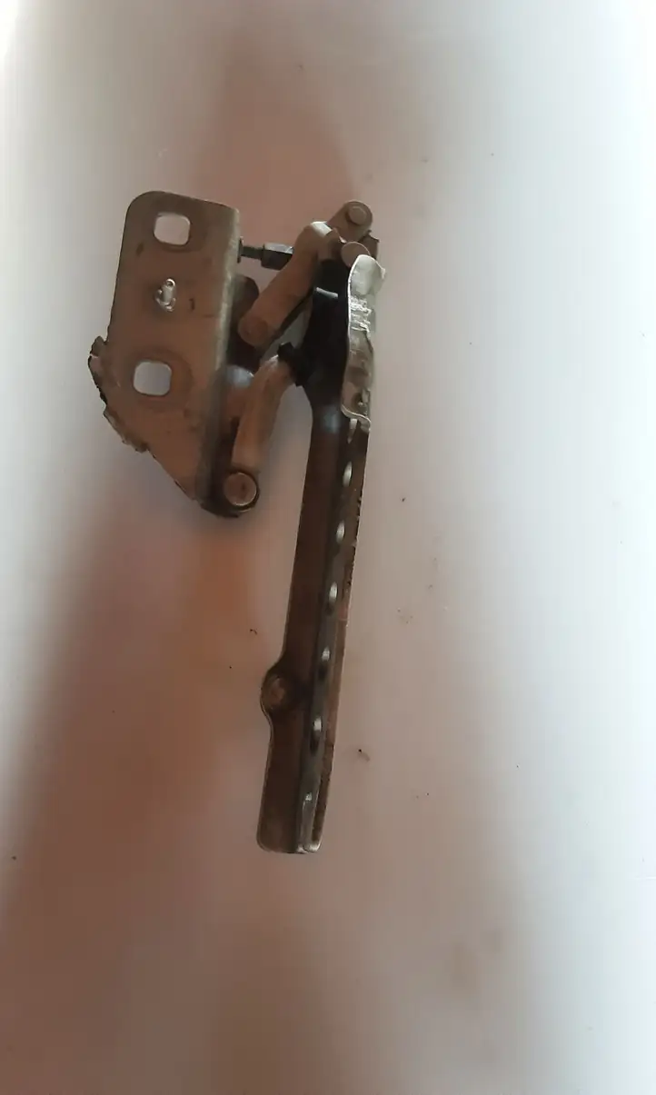 Audi A8 (2005 - 2007)  4E0823301G Петля (петли) капота