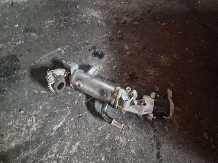 Land Rover Range Rover Sport (2005 - 2009)  7H2Q9Y493CE Клапан EGR