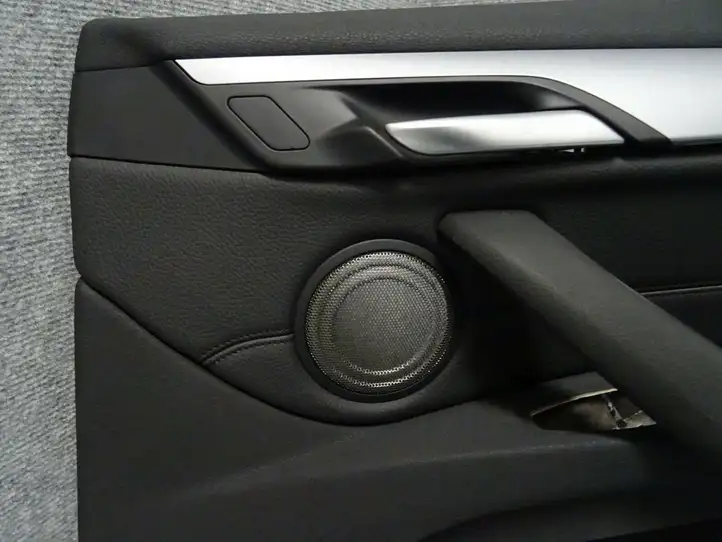 BMW X1 F48 F49 (2015 - 2022) Обшивка передней двери — фото 2