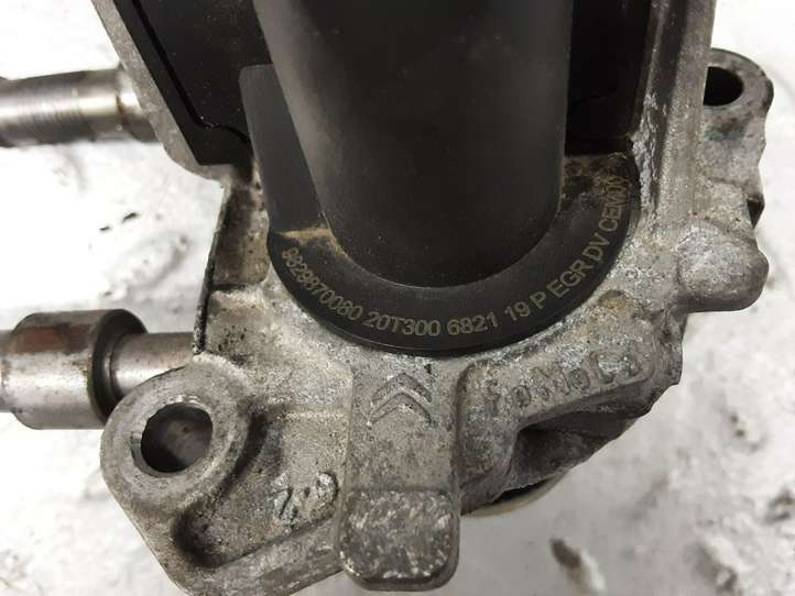 Citroen Berlingo (2018 - )  9829870080 Клапан EGR