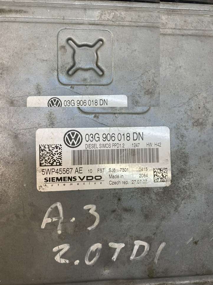 Audi A3/S3 8P (2004 - 2008)  03G906018DN Блок управления двигателя