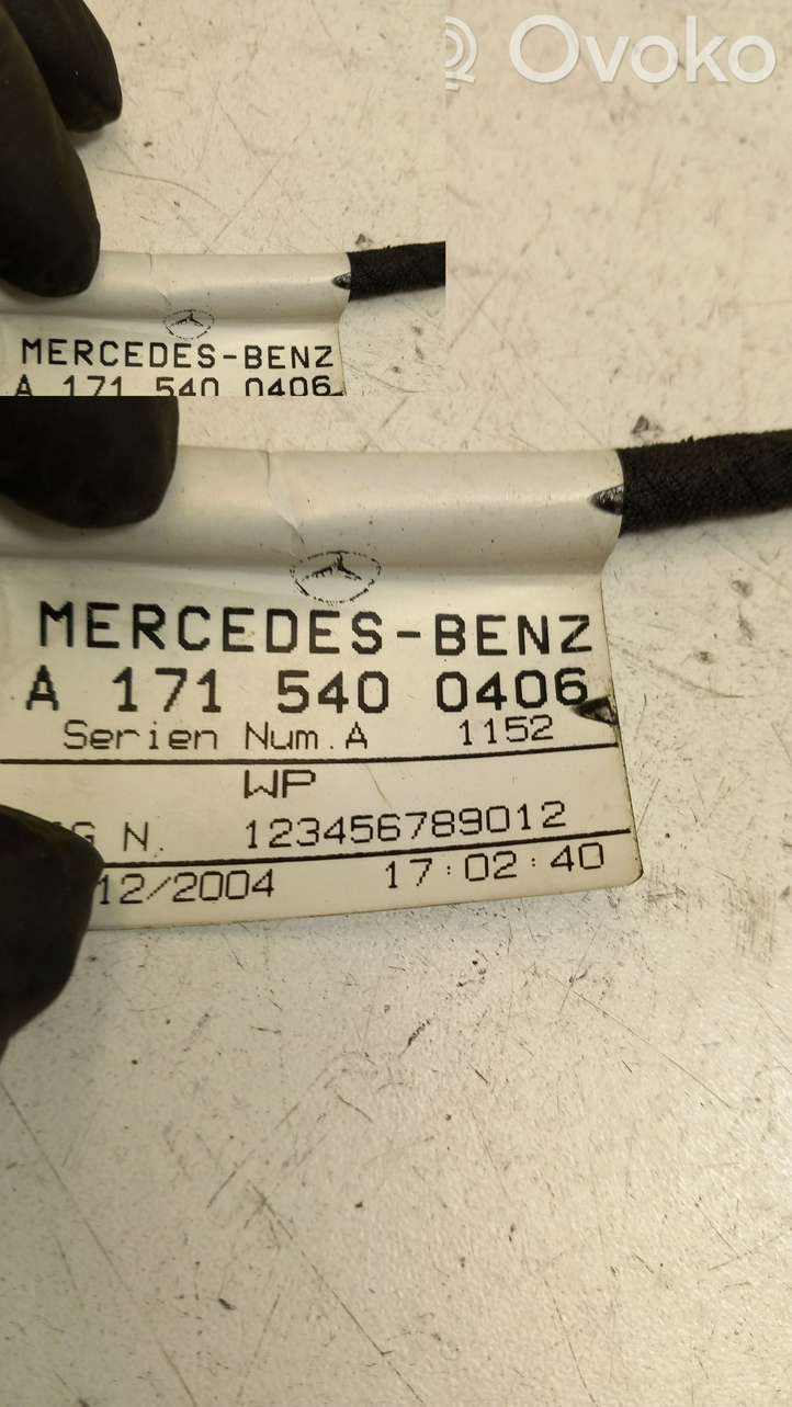 Mercedes-Benz SLK R171 (2005 - 2011)  A1715400406 Другой проводник