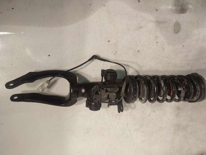 BMW 7 F01 F02 F03 F04 (2008 - 2016)  6796940 Передний амортизатор с пружиной