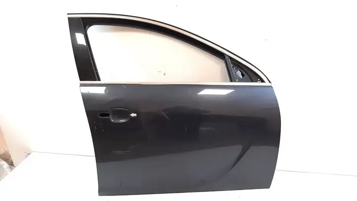 Opel Insignia A (2008 - 2017) Дверь — фото 1