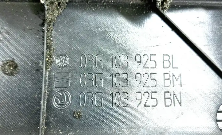 Volkswagen Golf V (2003 - 2009) 03G103925BL Крышка двигателя декоративная — фото 2