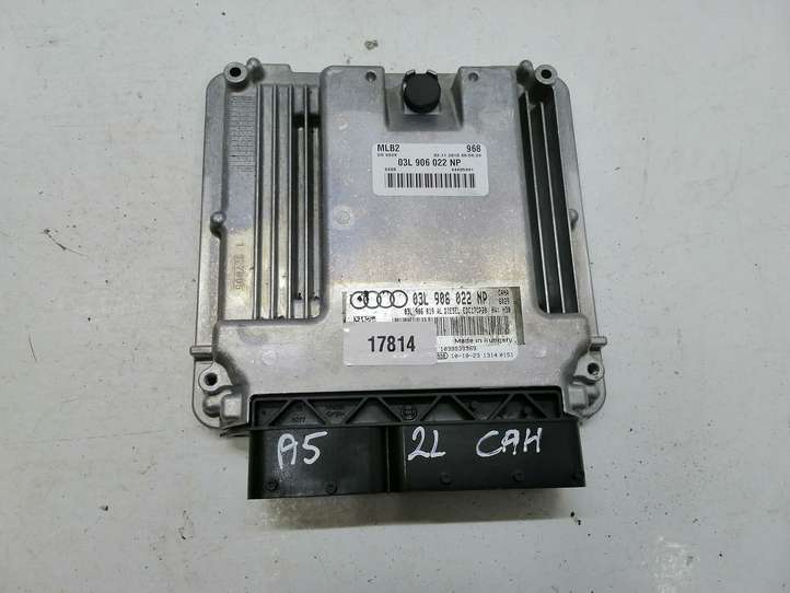 Audi A5 (2007 - 2011)  03L906022NP Блок управления двигателя