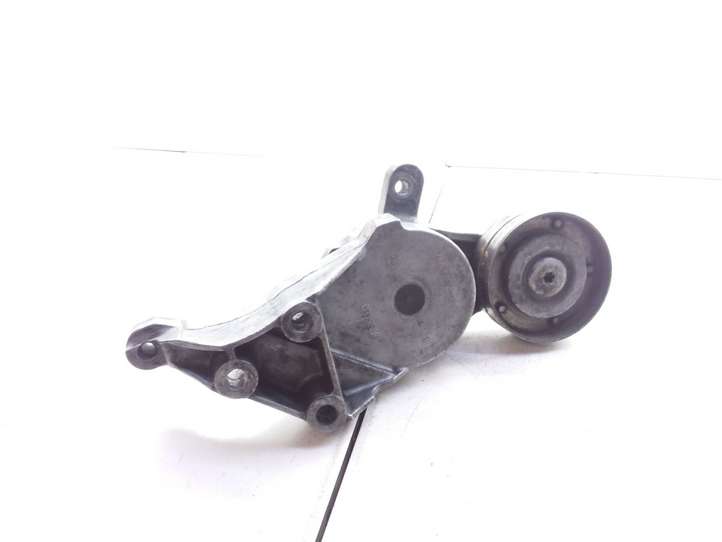 Volkswagen Golf IV (1998 - 2005)  04343010002 Устройство натяжки ремня