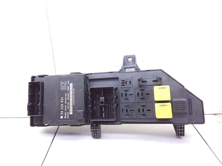 Opel Signum (2002 - 2008)  24443147 Блок предохранителей