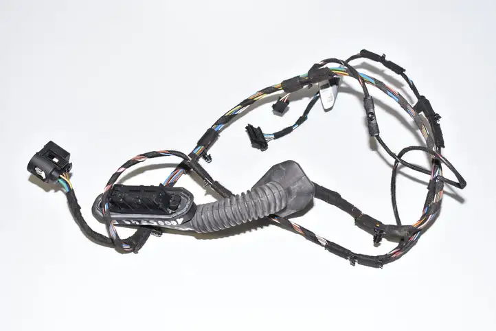 BMW 3 E90 E91 (2005 - 2012) 6938249 Проводка задней двери — фото 1