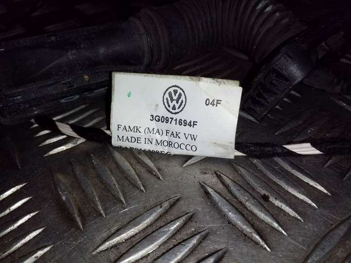 Volkswagen PASSAT B8 (2015 - )  3G0971694F Проводка задних дверей