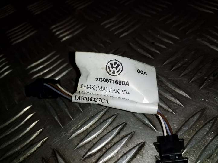Volkswagen PASSAT B8 (2015 - )  3G0971690A Проводка задних дверей
