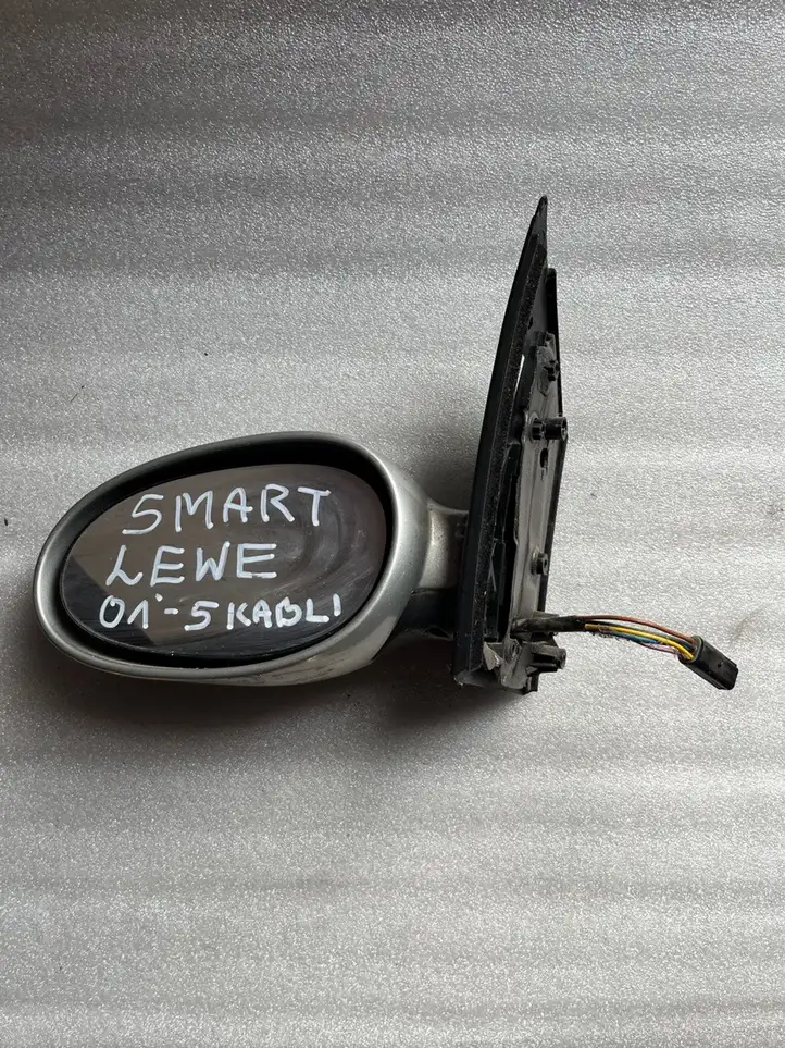 Smart ForTwo I (2000 - 2007) Боковое зеркало с электроприводом — фото 1