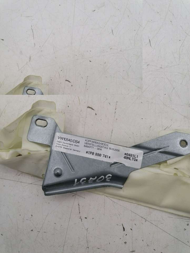 Seat Leon (1P) (2005 - 2012)  1P0880741 Звукоизоляция крыши