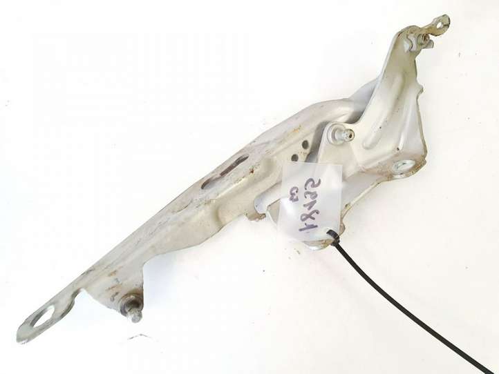 Volvo S80 (2006 - 2009)  076aid9e Петля (петли) капота