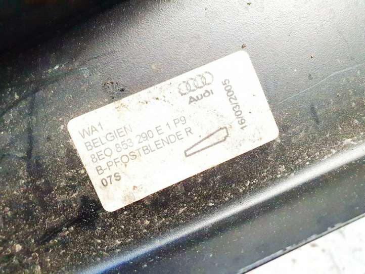 Audi A4 (2004 - 2009)  8e0853290e Другая деталь отделки пере́дней дверей