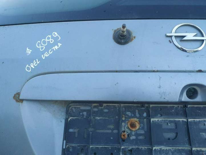 Opel Zafira (2003 - 2006)   Освещение номера