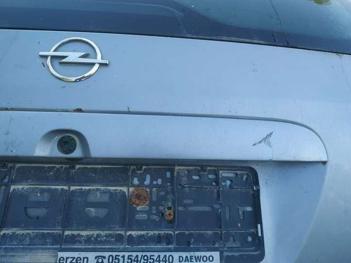 Opel Zafira (2003 - 2006)   Освещение номера