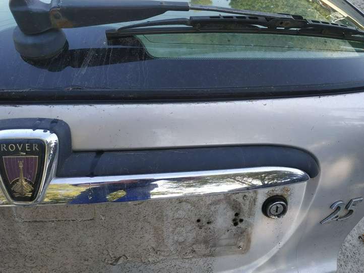 Rover 25 (1998 - 2005)   Освещение номера