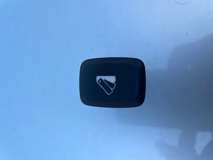 Renault Zoe (2012 - ) 283951618R Другие включатели / ручки/ переключатели — фото 1