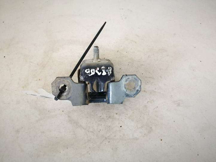Renault Vel Satis (2002 - 2005)   Нижняя петля задней двери