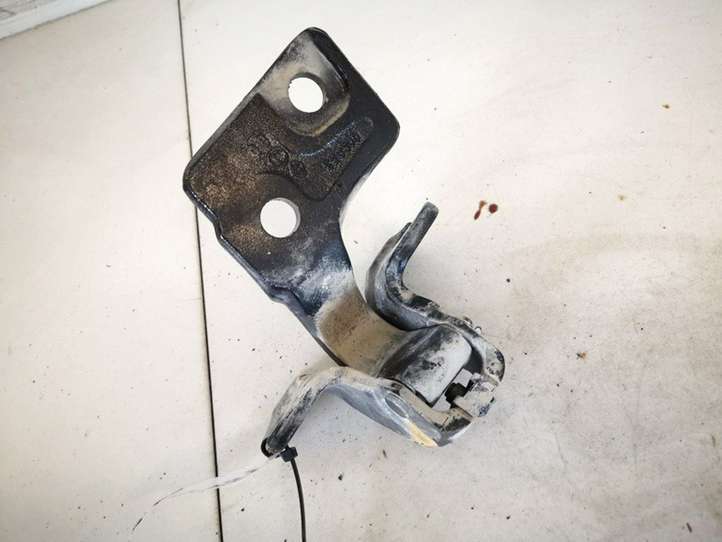Renault Vel Satis (2002 - 2005)   Петля (петли) задней крышки