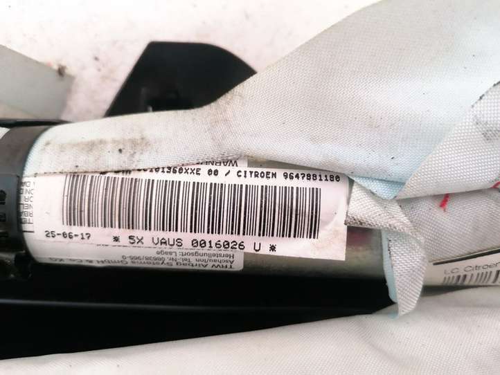 Citroen C3 (2002 - 2009)  9647881180 Звукоизоляция крыши