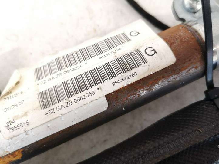 Citroen C4 (2004 - 2008)  9646572180 Звукоизоляция крыши