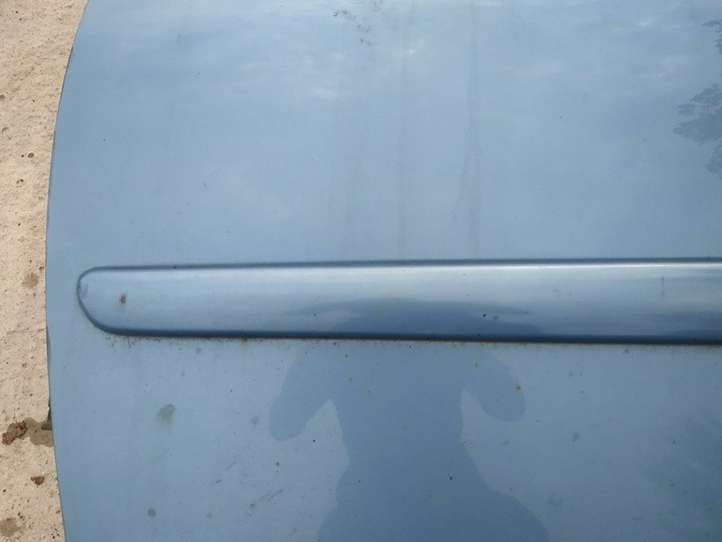 Citroen C3 (2002 - 2009)   Отделка (молдинг) передней двери