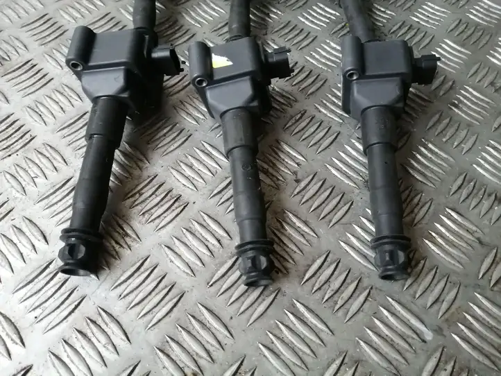 Porsche Boxster 987 (2005 - 2012) 0040100178 Катушка зажигания — фото 2