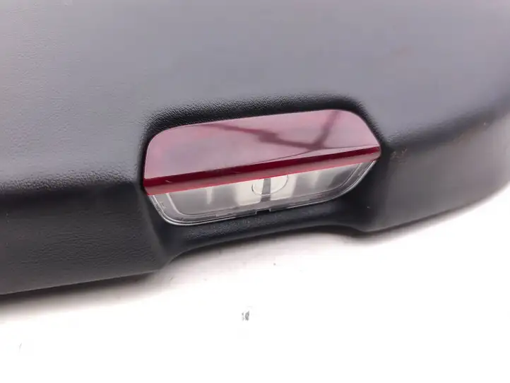 Porsche Taycan 9J1 (2019 - ) 9J1867212HH Обшивка задней двери — фото 2