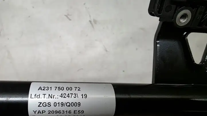 Mercedes-Benz SL R231 (2012 - 2019) A2317500072 Петли крышки багажника — фото 4
