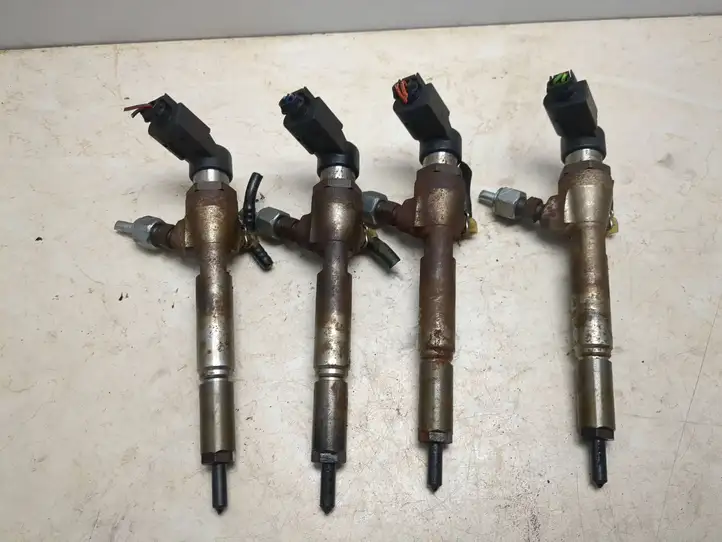 Renault Megane III (2009 - 2016) H8200204788 Комплект жиклеров ГБО — фото 2