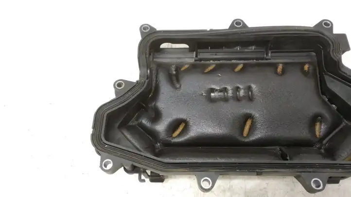 Renault Latitude (L70) (2010 - 2014) 2566 Крышка двигателя декоративная — фото 2