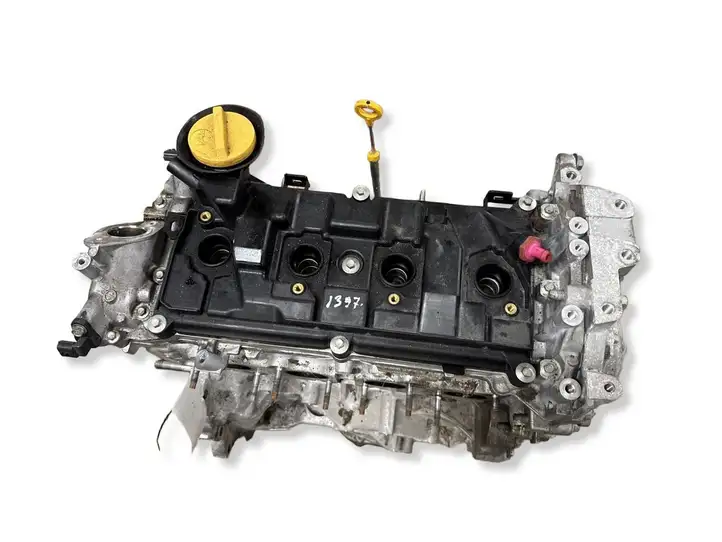 Renault (2019 - ) M5PP4404 Двигатель — фото 2