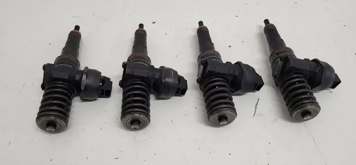 Volkswagen PASSAT B5.5 (2001 - 2005) 038130073AF Комплект жиклеров ГБО — фото 1
