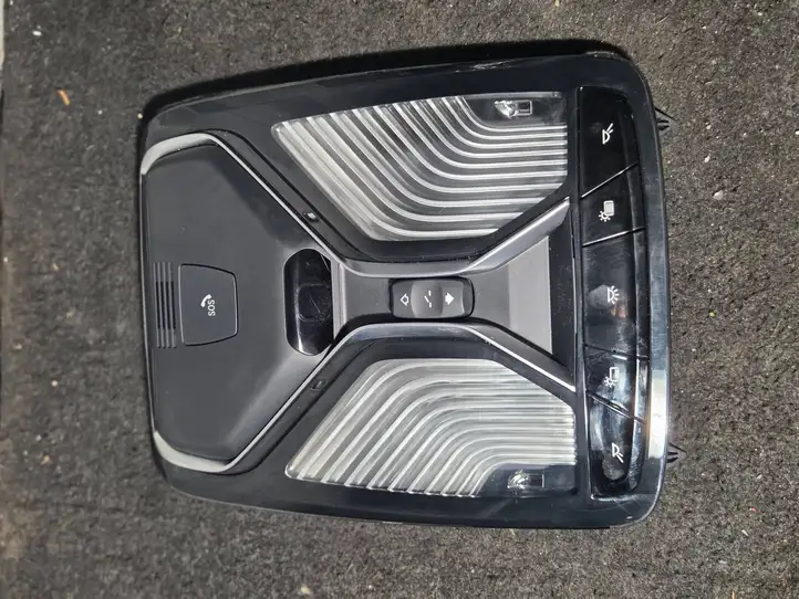 BMW X7 G07 (2018 - ) 9893169 Передняя подсветка — фото 1