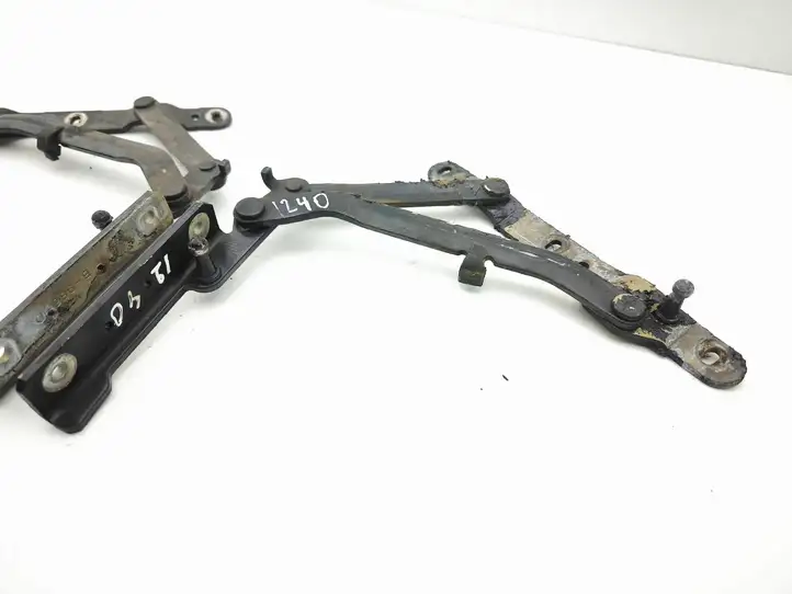 Maserati Quattroporte (2003 - 2008) Петли капота — фото 1