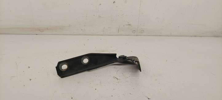 Audi A3/S3 8P (2003 - 2005)  8P0823301 Петля (петли) капота