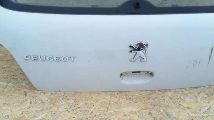 Peugeot 307 (2001 - 2005)  E1143R00046 Задняя крышка (багажника)