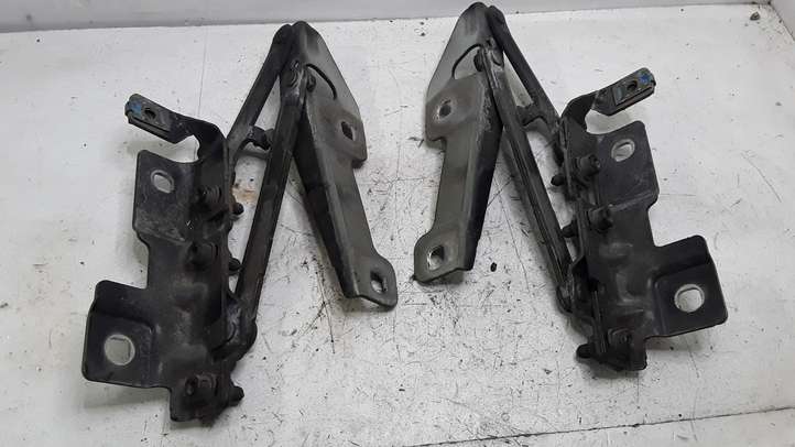 Opel Insignia A (2008 - 2017)  12841600 Петля (петли) капота