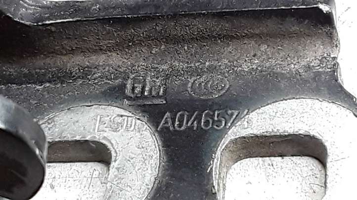 Opel Insignia A (2008 - 2017)  ES03A046574  Комплект петель задней двери