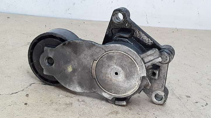 Citroen C4 Picasso (2006 - 2013)  825809 Устройство натяжки ремня