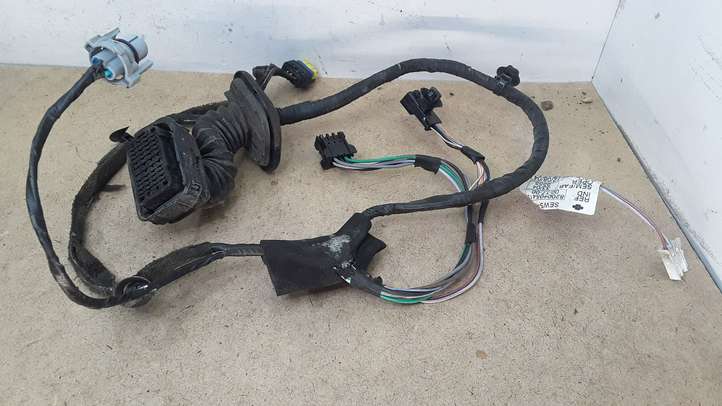 Renault Modus (2004 - 2007)  8200405412 Проводка передних дверей