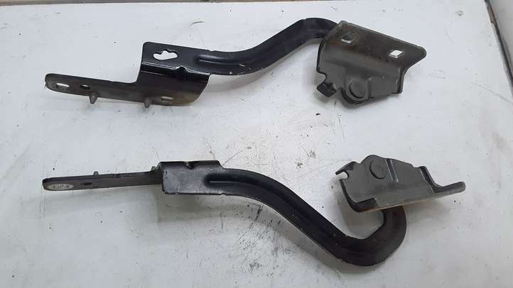 Renault Modus (2004 - 2007)  213689G Петля (петли) капота
