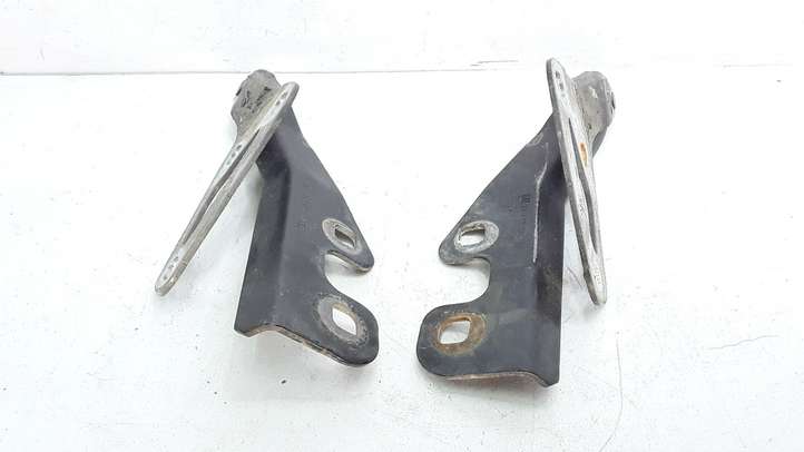 Opel Vectra (2002 - 2005)  24435368 Петля (петли) капота