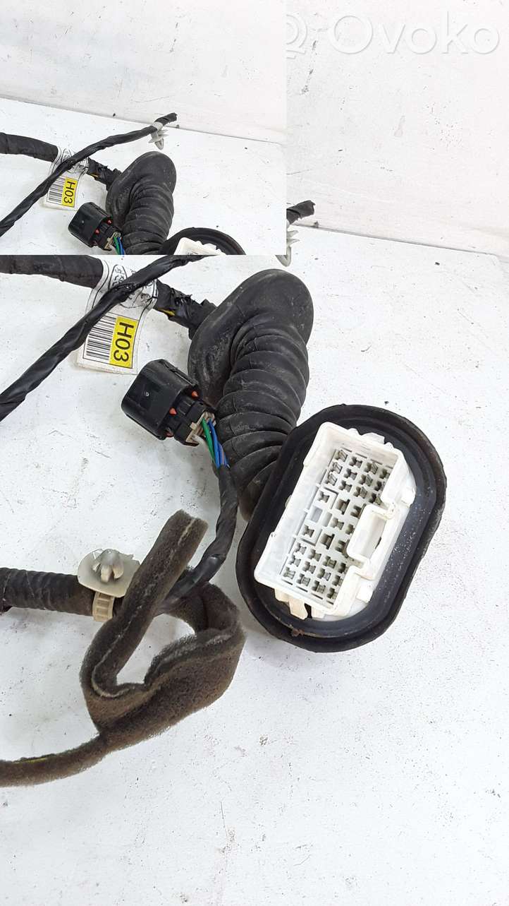 Hyundai Santa Fe (2000 - 2005)  9182026020 Проводка передних дверей