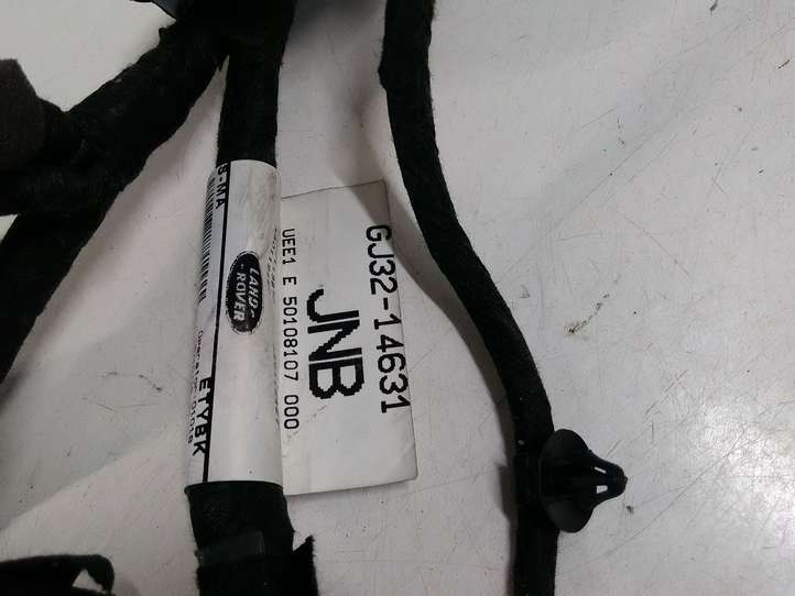 Land Rover Range Rover Evoque (2011 - 2015)  GJ3214631JNB Проводка передних дверей
