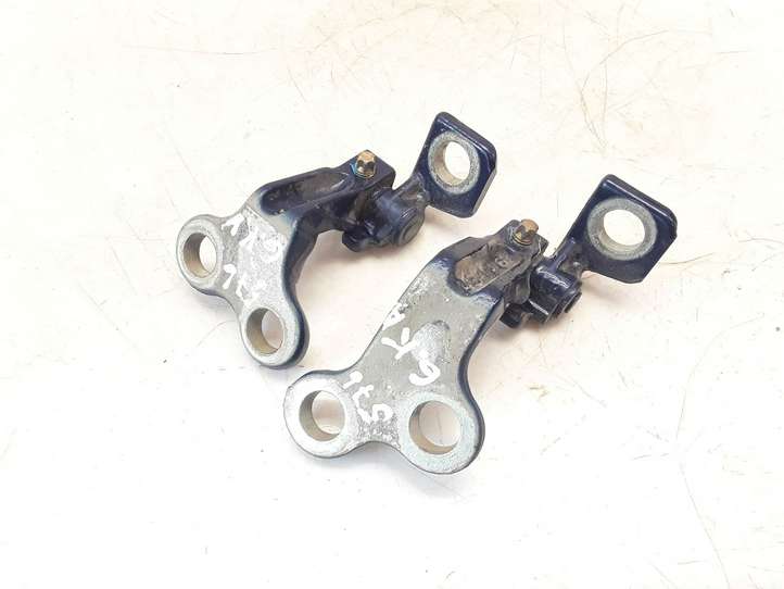 Jaguar X-Type (2001 - 2008)  1X4AF22801AE  Комплект петель задней двери